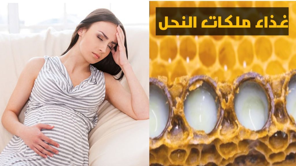 دور غذاء ملكات النحل للحمل و تقليل أعراض الحمل