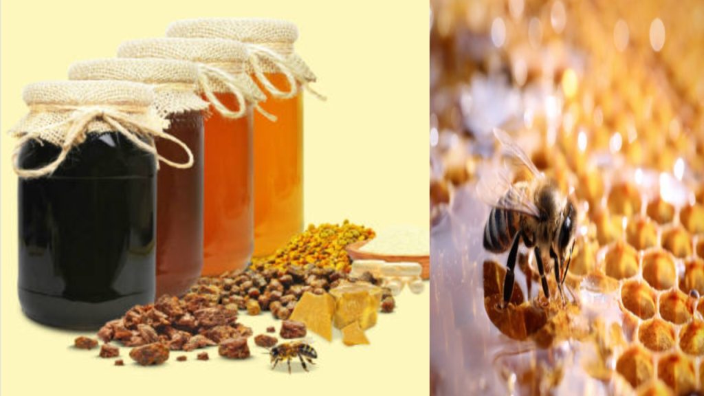 أنواع عسل النحل البري