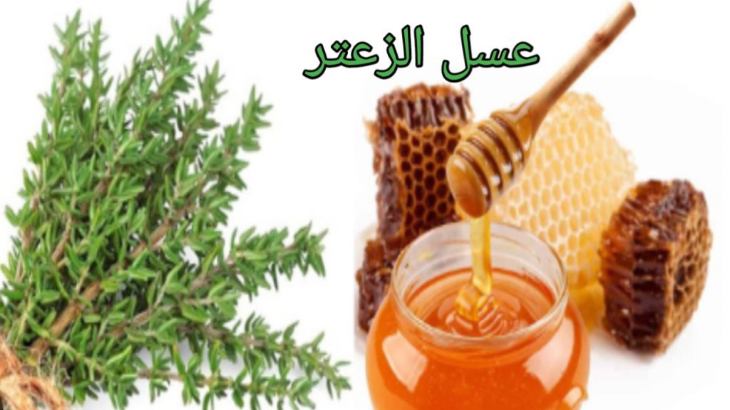 فوائد عسل الزعتر على الصحة